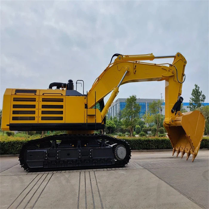 large mining excavator  (2)